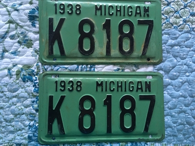 Picture of 1938 Michigan Pair #K8187