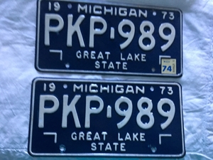 Picture of 1973 Michigan Pair #PKP-989