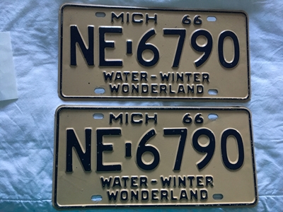Picture of 1966 Michigan Pair #NE-6690